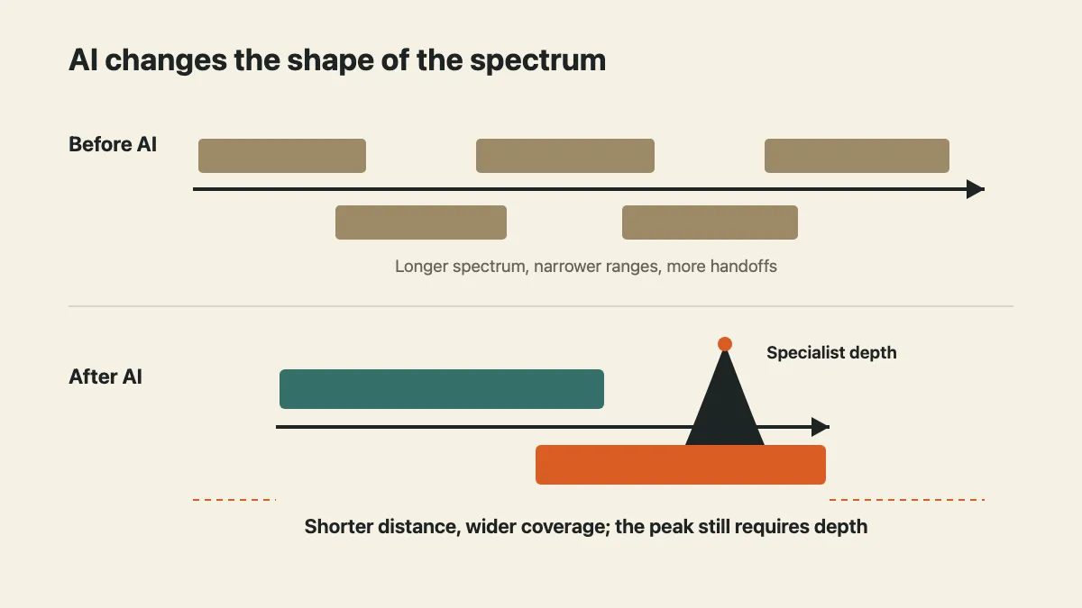 AI shortens the spectrum and widens individual coverage while specialist depth remains necessary